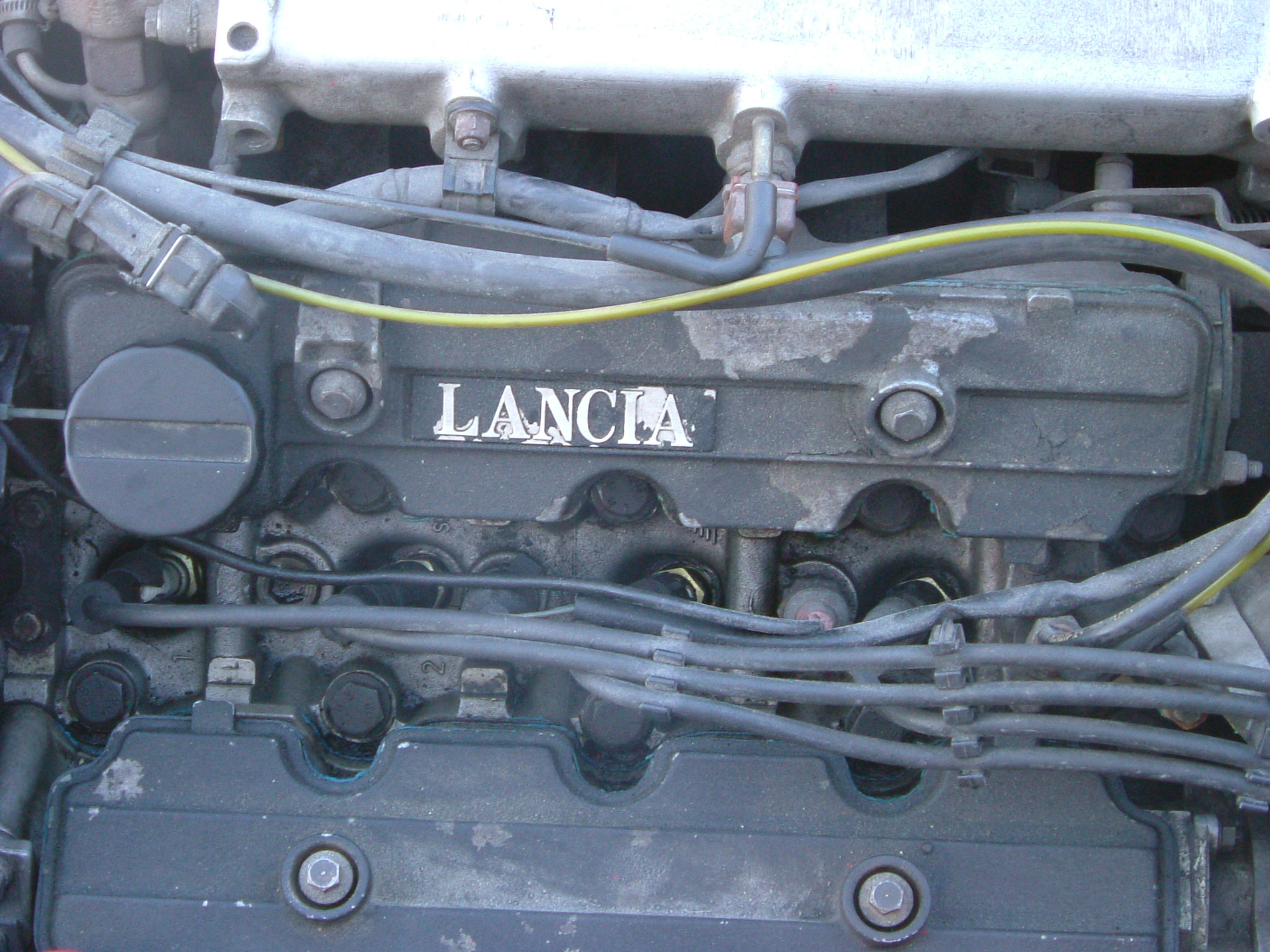 Jardovo Lancia 017